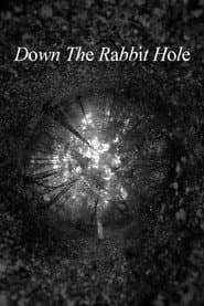 Down The Rabbit Hole