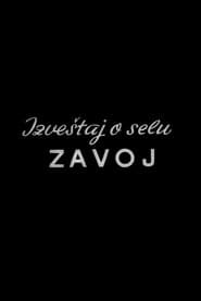 Report from the Zavoj Village