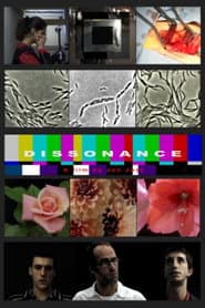 Dissonance