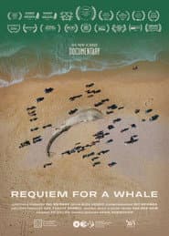 Requiem for a Whale
