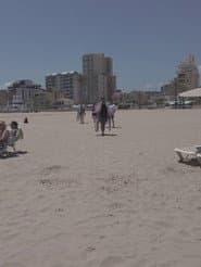 Diálogos de verano