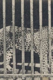 Zoo