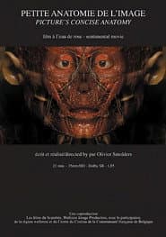 Petite anatomie de l'image
