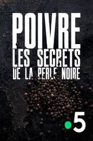 Poivre, les secrets de la perle noire