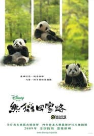 Trail of the Panda