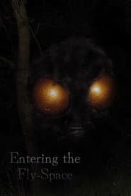 Entering the Fly-Space
