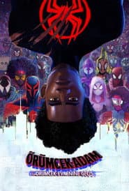 Spider-Man: Across the Spider-Verse