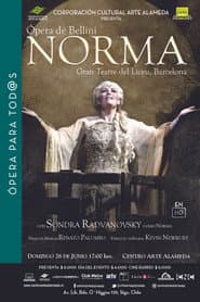 Bellini: Norma