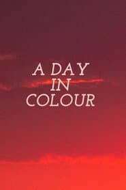 A Day in Colour