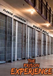 The Prison Experience