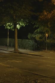 Canon: Urban Deer