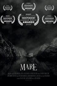 The Mare