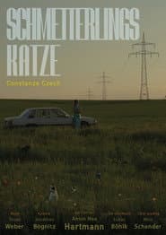 Schmetterlingskatze