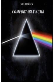 Pink Floyd - Comfortably Numb