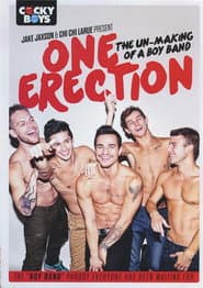 One Erection: The Un-Making of a Boy Band
