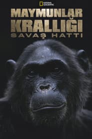 Kingdom of the Apes: Battle Lines