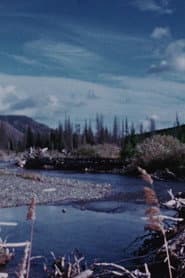 Concerto for Water, Sun and Wilderness
