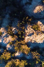 Gardens of Stone