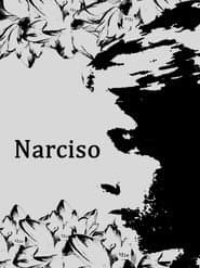 Narcissus