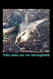 Três idas ao Rio Karagûatá