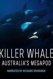 Killer Whale: Australia's Megapod