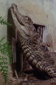Thunderbirds: Attack of the Alligators!
