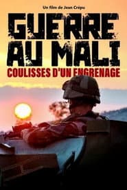 Sahel: A French War