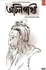 Achin Pakhi