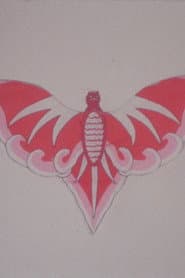 Bat Kite Lucy Robin
