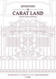 SEVENTEEN in CARAT LAND