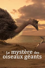 Mystery of the Giant Birds