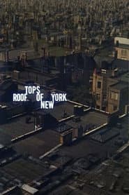 Rooftops of New York