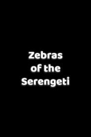 Zebras of the Serengeti