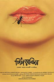 Ant Story