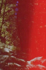 Newsreel 670 – Red Forests