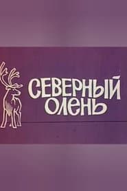 Reindeer