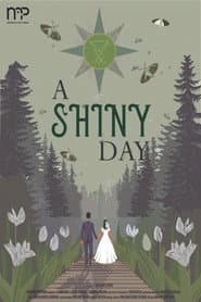 A Shiny Day