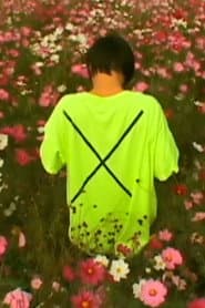 An Acid Field