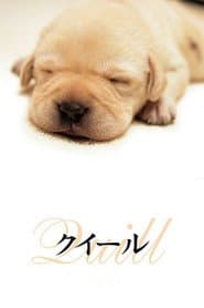 Quill: The Life of a Guide Dog