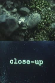 Close-Up