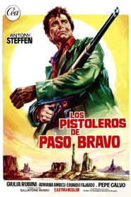 A Stranger in Paso Bravo