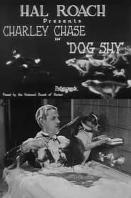 Dog Shy