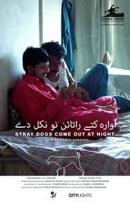 Stray Dogs Come Out at Night