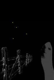 Fireflies Along the Fence