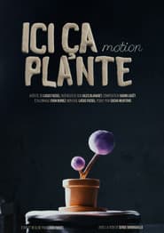 Ici ça plante