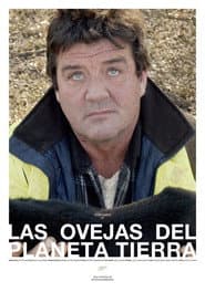 Las ovejas del planeta Tierra