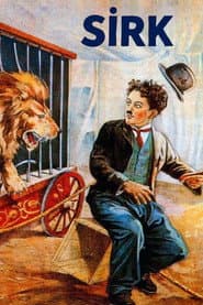 The Circus
