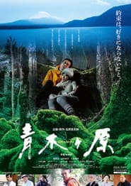 Aokigahara