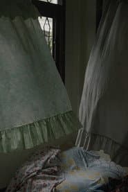 Wind in Home