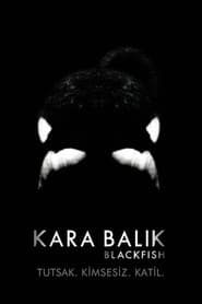 Blackfish